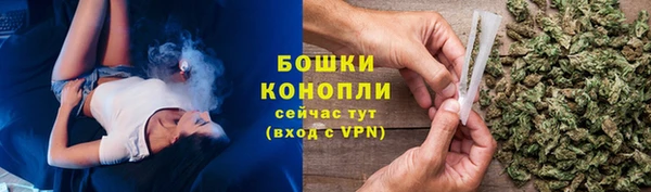 гидропоника Бородино