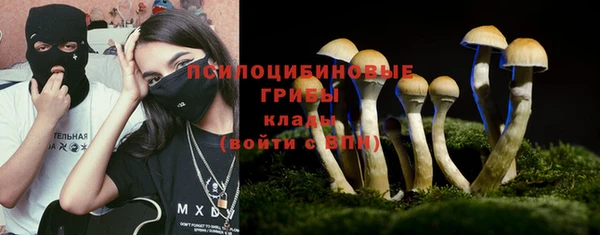 прущий лед Бронницы