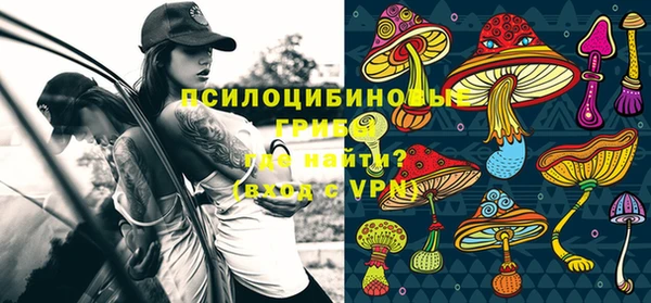 прущий лед Бронницы