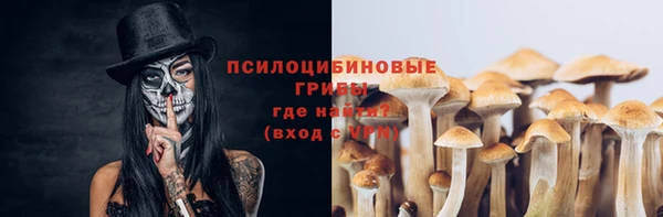 прущий лед Бронницы