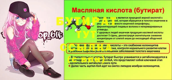 гидропоника Бородино