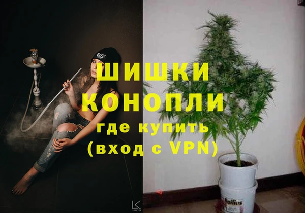 гидропоника Бородино